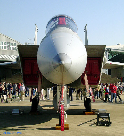 F-15J Nose-I img.