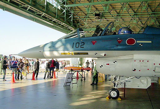 F-2B - VIII img.
